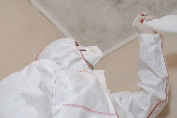 Best DIY Mold Remediation Support Services in Sacred Heart University, CT